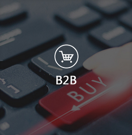 b2b电商网站开发--解放号