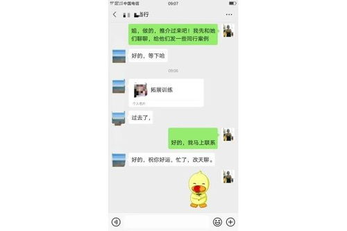 台前免费发布网络信息 发布猫