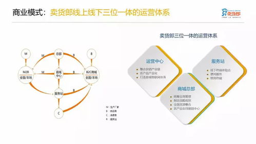 卖货郎启动赴美上市计划 想成为 三农 电商第一股