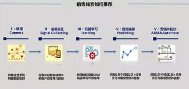 笨鸟与您同行 下篇 技术笨鸟 笨鸟匠心